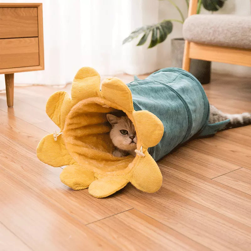 Cloth Cat Tunnel & hammock