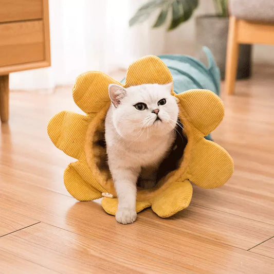 Cloth Cat Tunnel & hammock