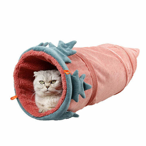 Cloth Cat Tunnel & hammock