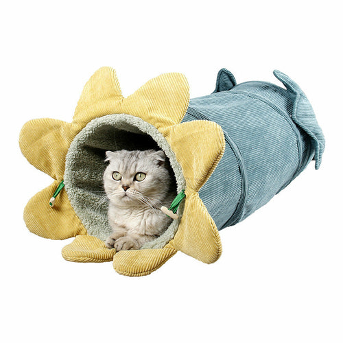 Cloth Cat Tunnel & hammock