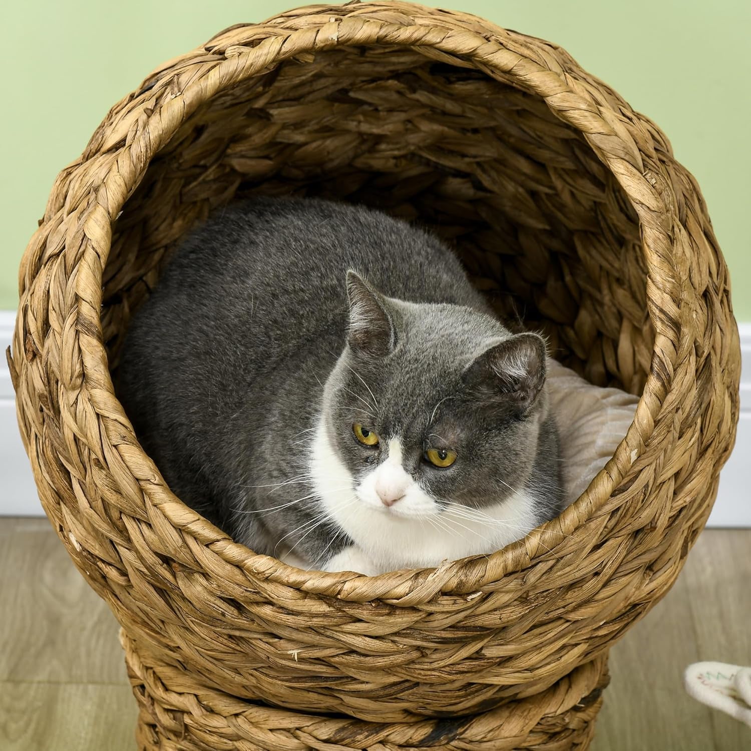 Handwoven Elevated Cat Bed with Soft Cushion & Egg Chair Shape, Basket Bed Kitty House with Stand, Raised Wicker House for Indoor Cats, 20" H, Brown