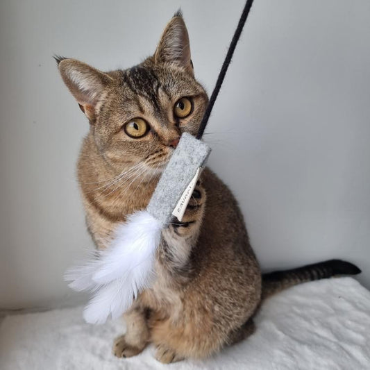 Handmade Wool & Cotton Teaser Wand - Cat Toy