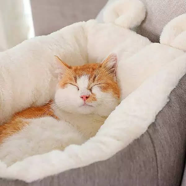SnuggleCloud Cat Bed – Ultra-Soft & Comfy