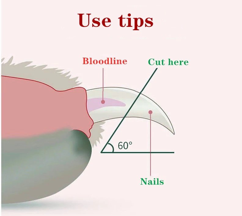 LED Cat Nail Trimmer