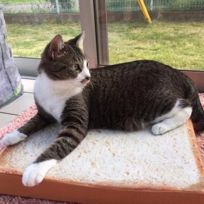 Plush Toast Cat Bed