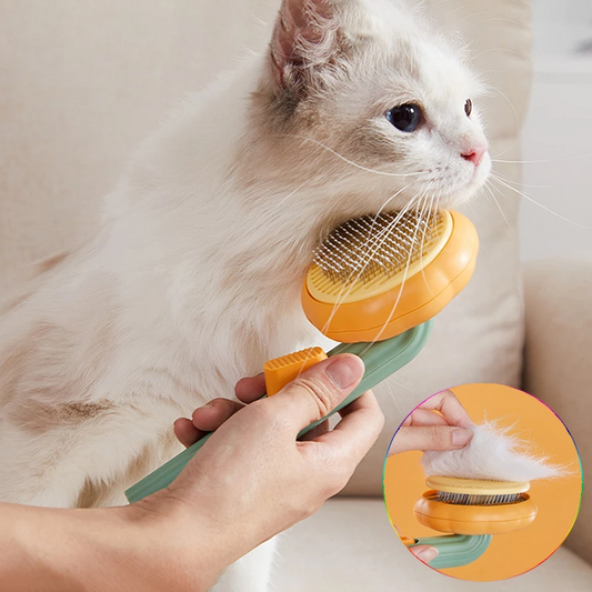 Self Cleaning Cat Grooming Brush