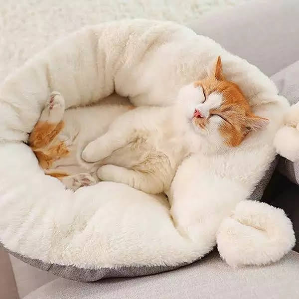 SnuggleCloud Cat Bed – Ultra-Soft & Comfy