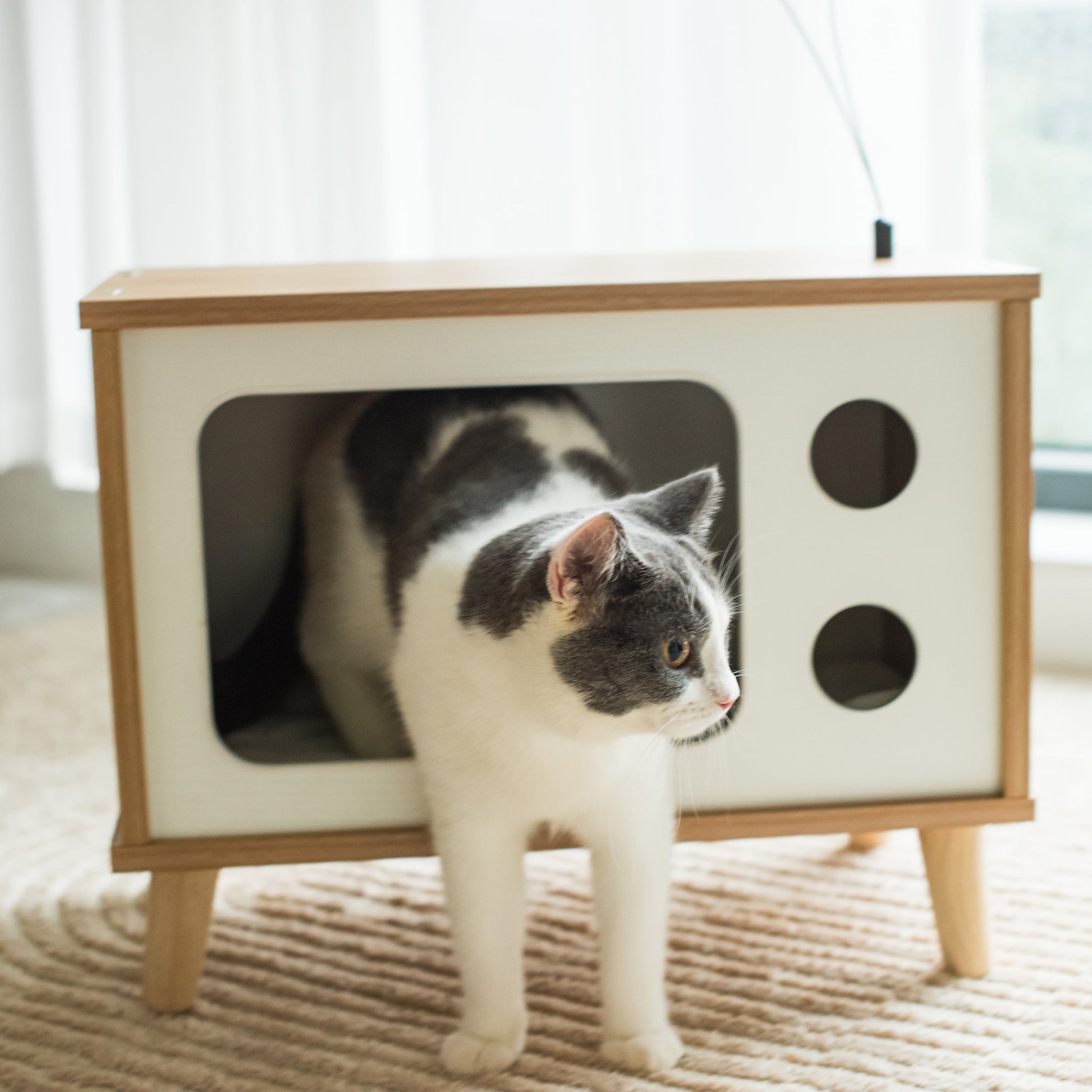 Purr-View Retro TV Cat Condo with Jute Scratching Pad & Washable Mat, Ball Toy Antenna, White & Tan, 20" L X 11.5" W X 16" H